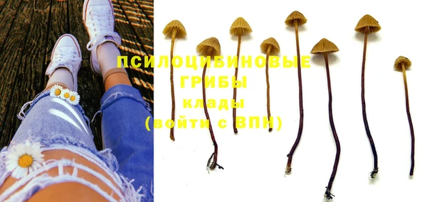 кокс Пересвет
