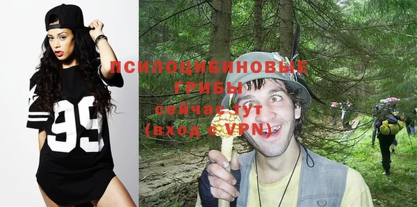 скорость Пестово