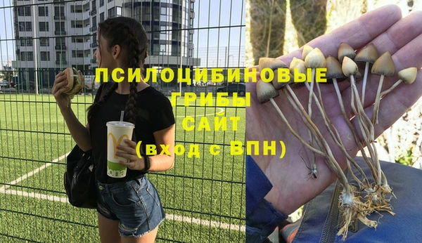 кокс Пересвет
