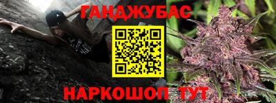 PSILOCYBIN Камышлов