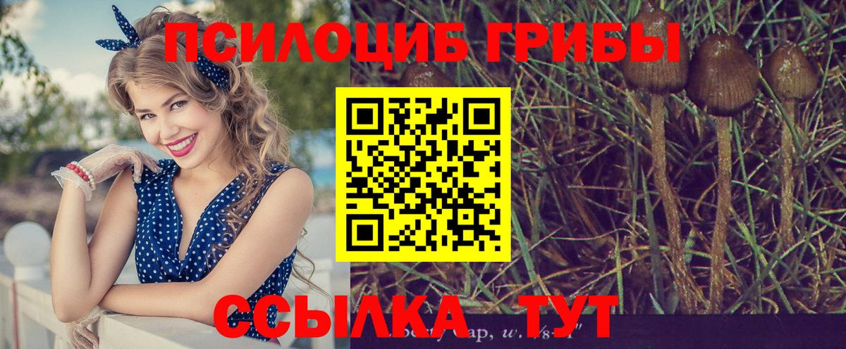 наркота  Галлюциногенные грибы MAGIC MUSHROOMS  Псилоцибиновые грибы MAGIC MUSHROOMS  Вход с VPN  Лыткарино 